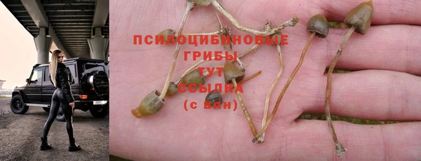 дистиллят марихуана Горнозаводск