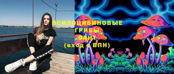 MESCALINE Гусиноозёрск