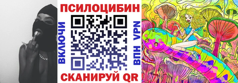 Галлюциногенные грибы Psilocybe  Купить  Порхов 